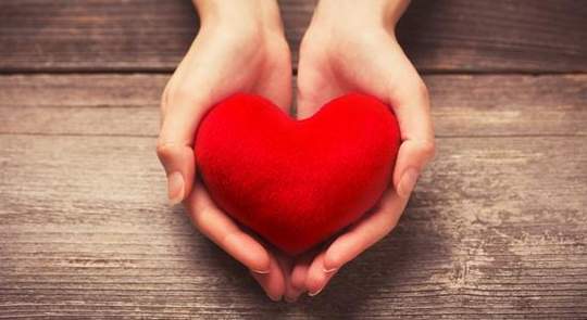 Cuore e circolazione